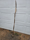 Twin Path Walking Stick