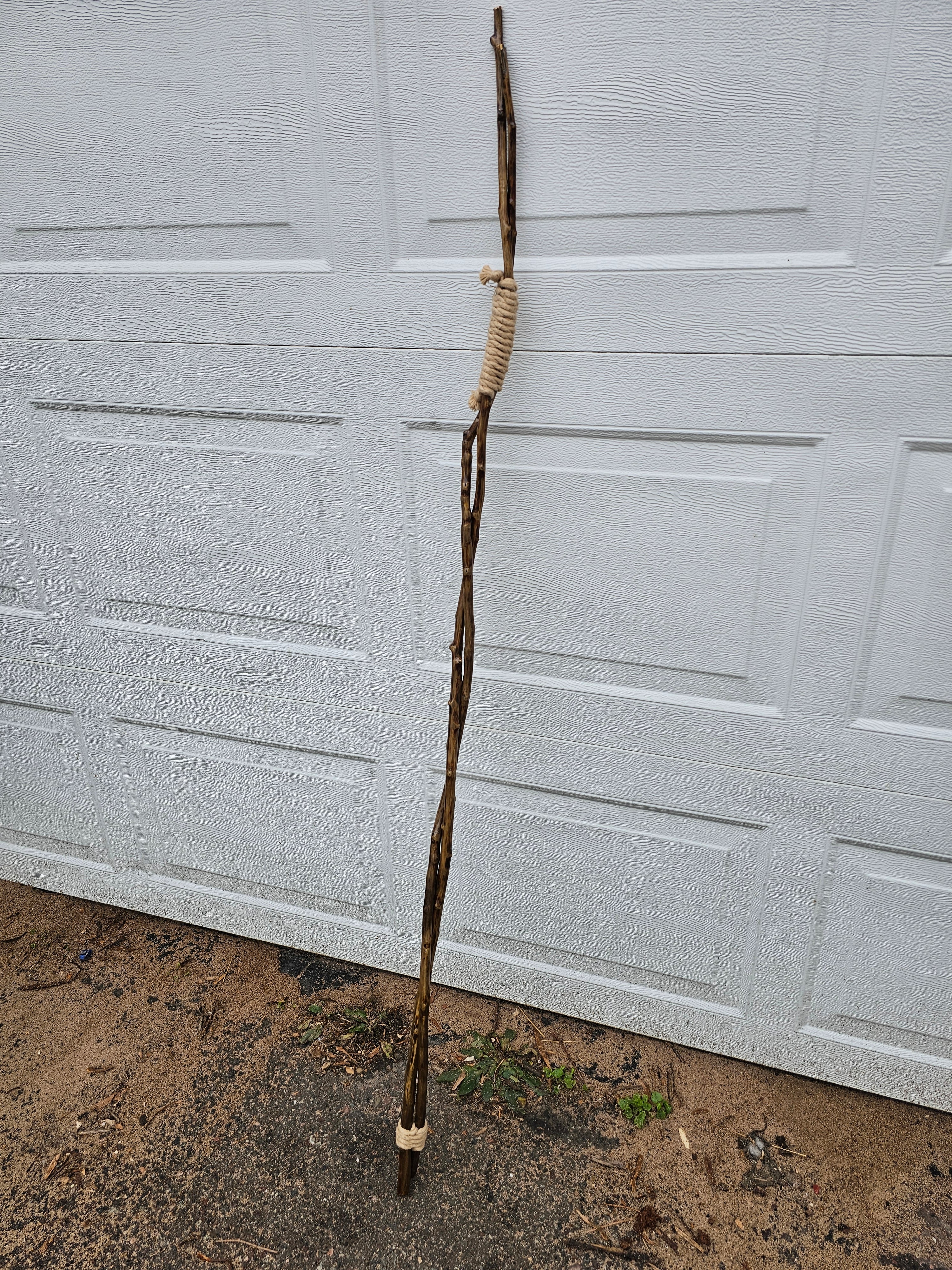 Twin Path Walking Stick