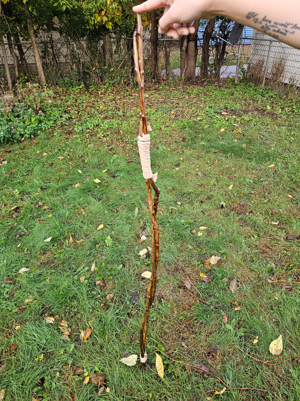 Twin Path Walking Stick