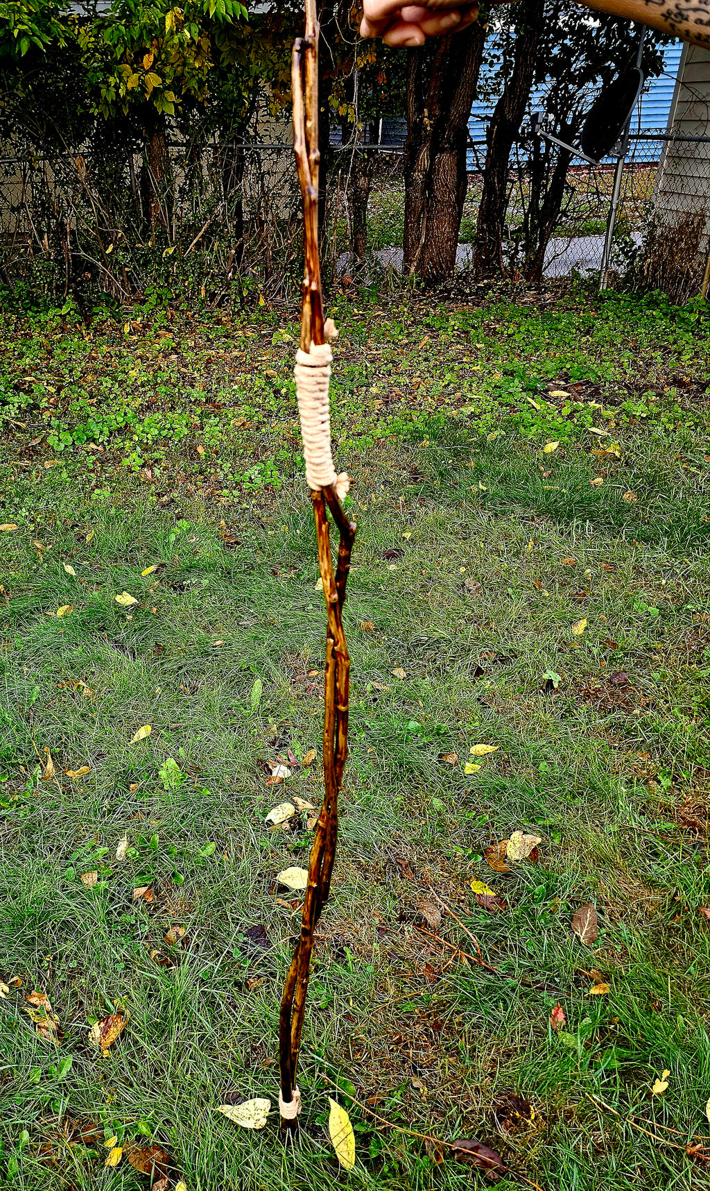 Twin Path Walking Stick
