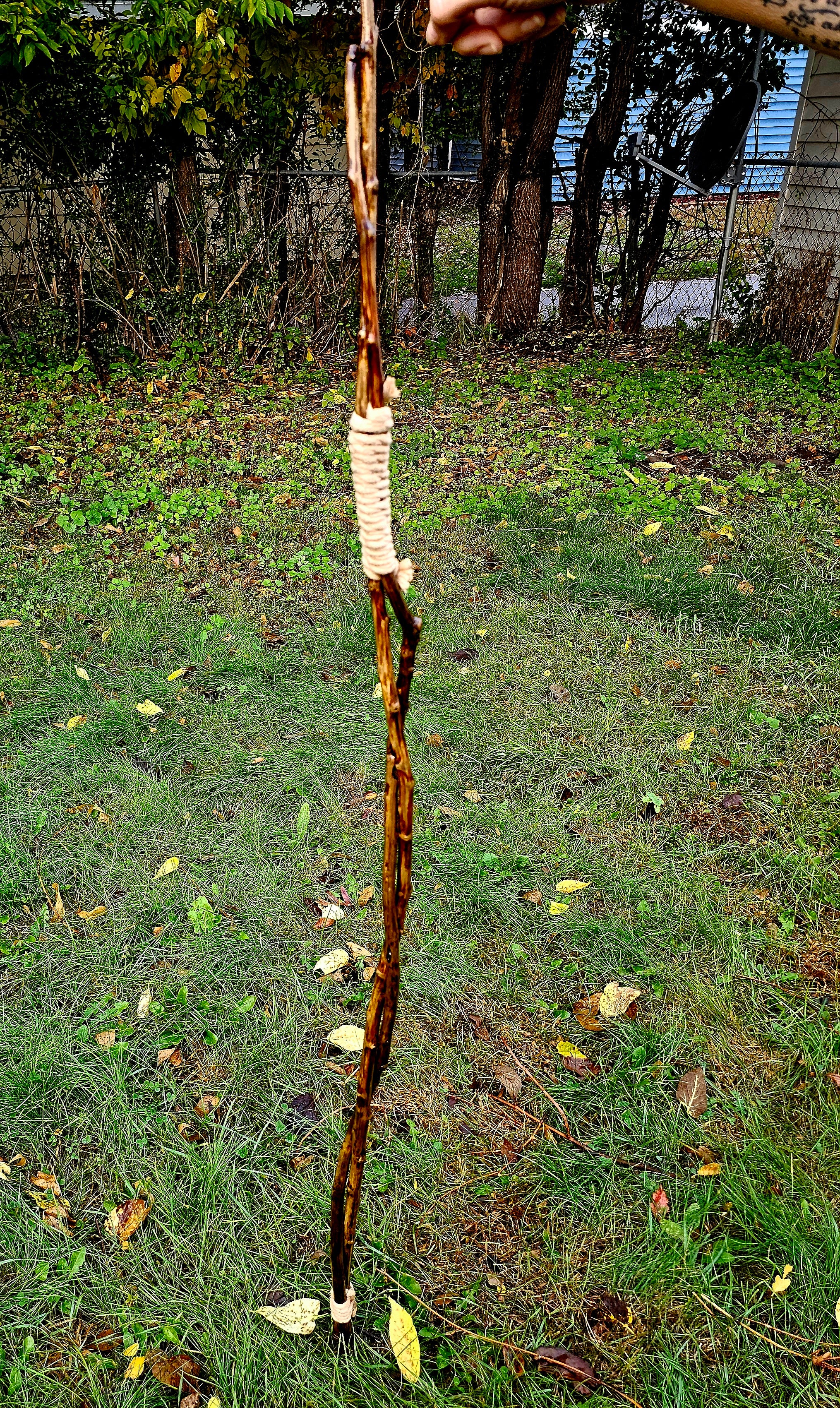 Twin Path Walking Stick
