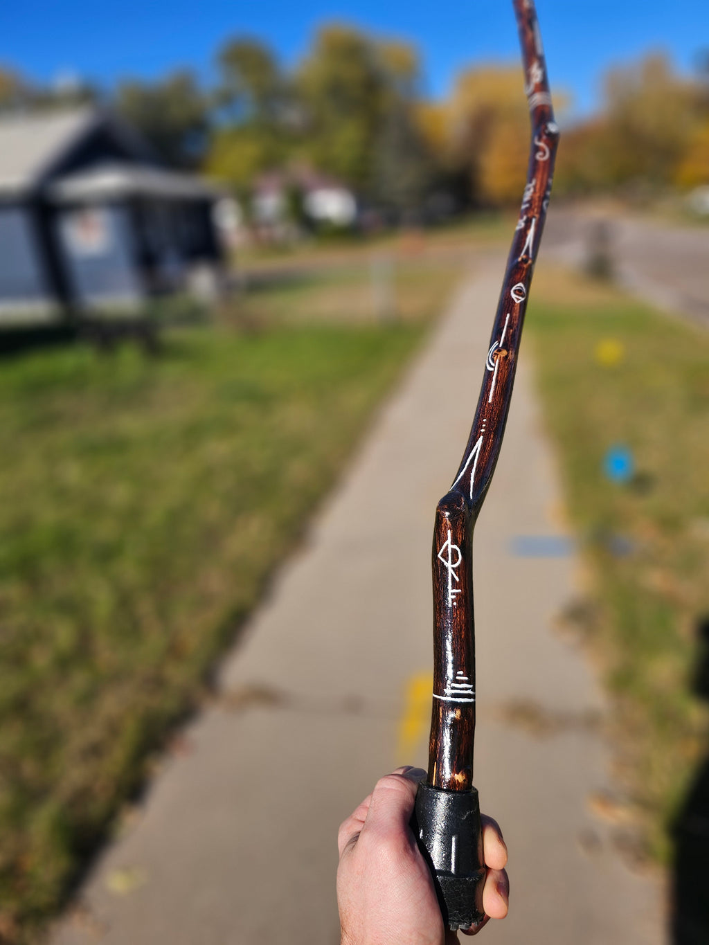 Be Free Walking Stick