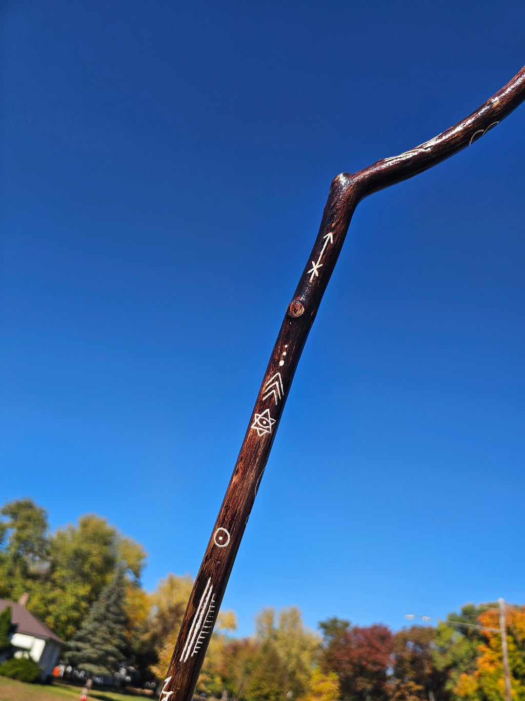 Be Free Walking Stick